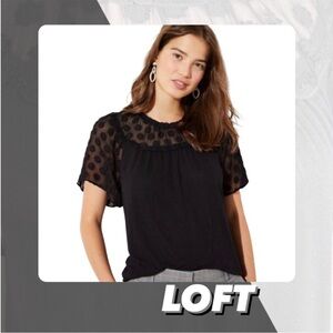 NWT Loft Mixed Media T Shirt